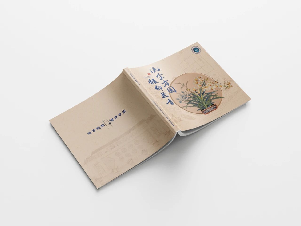 11月新品